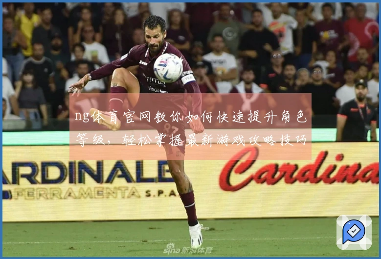 ng体育官网教你如何快速提升角色等级，轻松掌握最新游戏攻略技巧